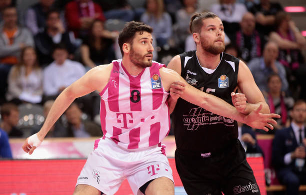 鲜明对比的 鲜明对比的