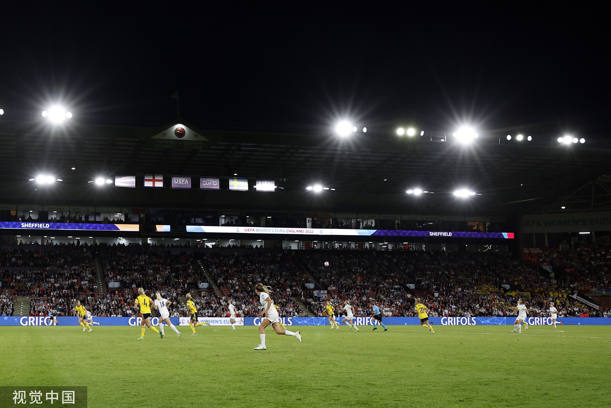 尔加多的组 尔加多的组